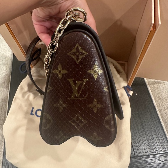 Louis Vuitton Python Twist Handbag - Picture 10 of 16